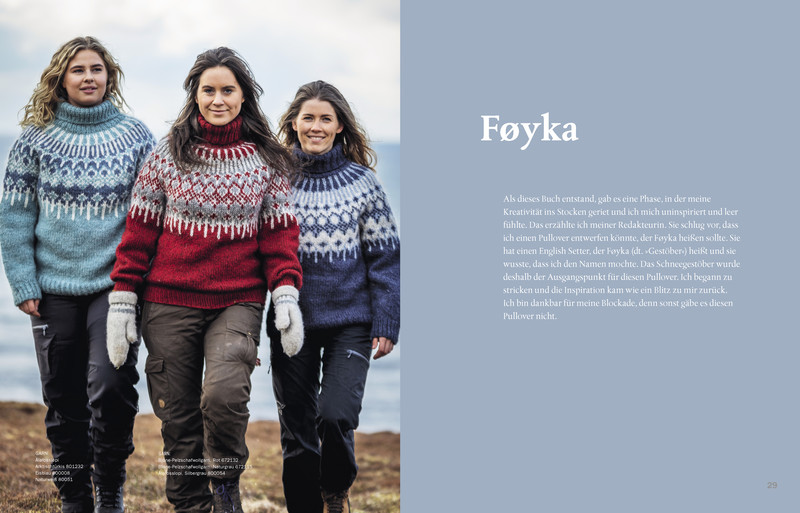 Garnpaket Pullover FOYKA in grün (dick; von Linka Neumann)