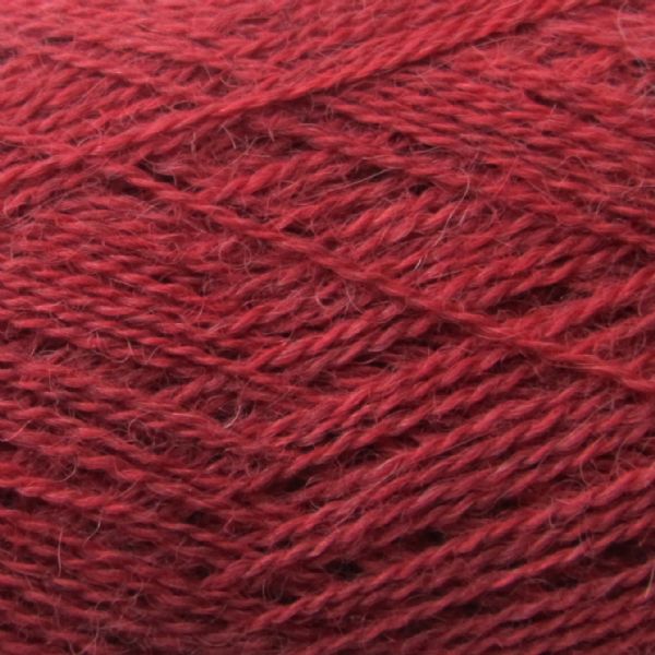 Alpaca1-21_800x800