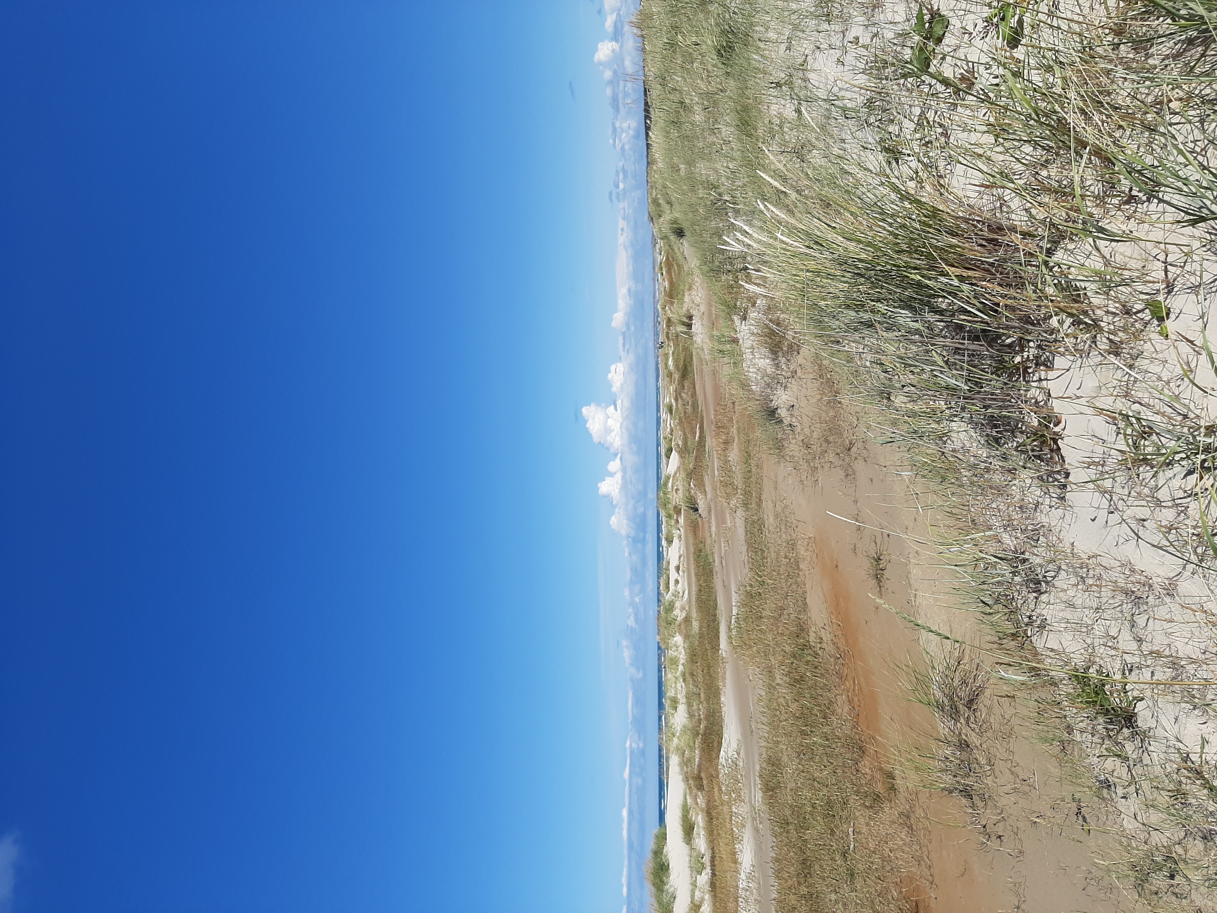 Strand Düne